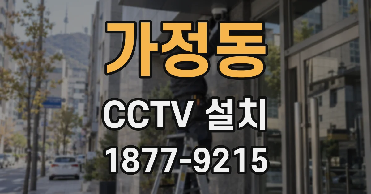 가정동 CCTV 설치
