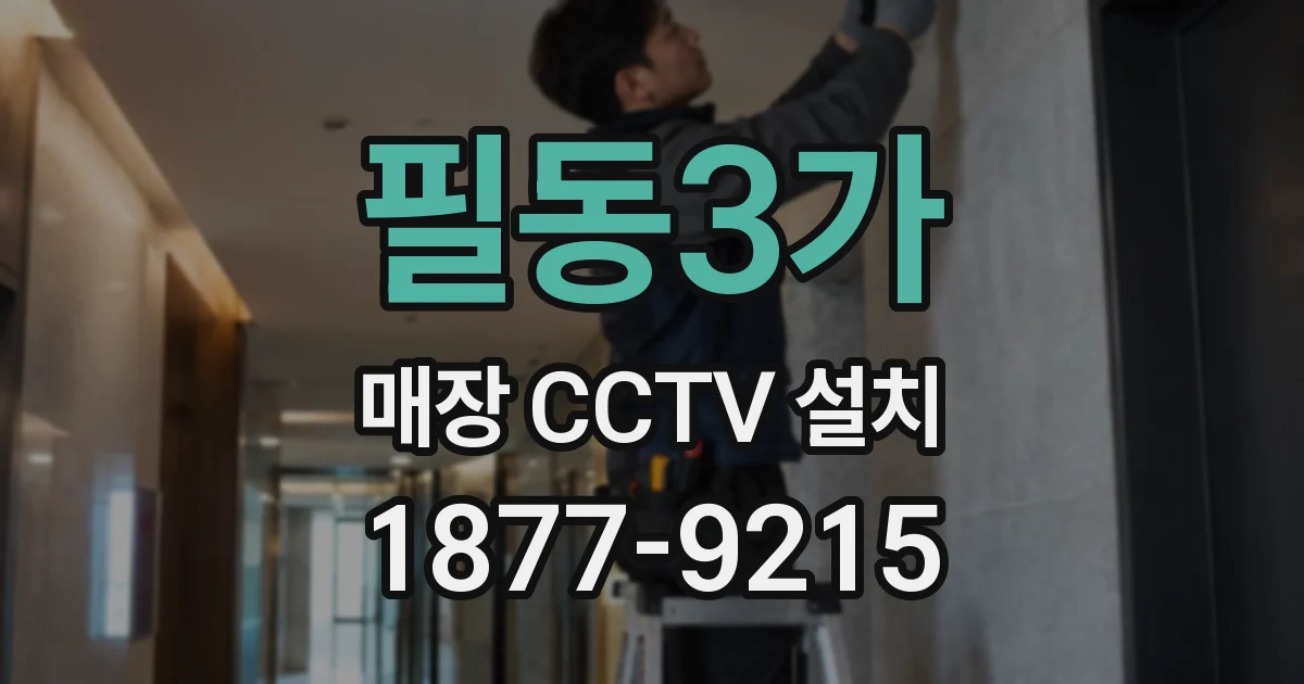 필동3가 매장 CCTV 설치
