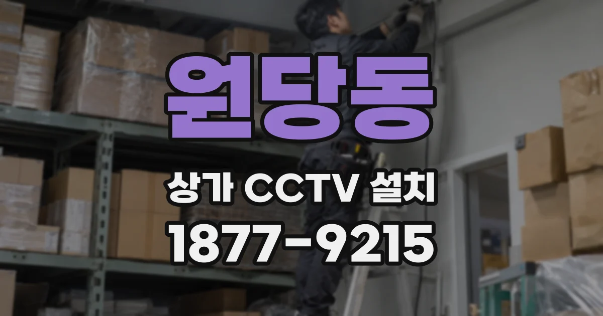 원당동 상가 CCTV 설치