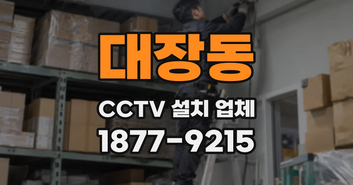 대장동 CCTV 설치 업체
