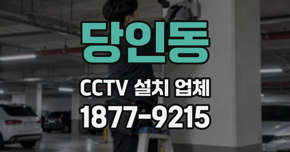 당인동 CCTV 설치 업체