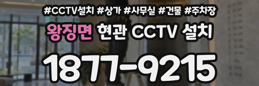 왕징면 현관 CCTV 설치