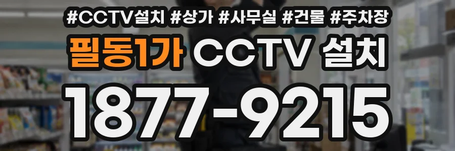 필동1가 CCTV 설치