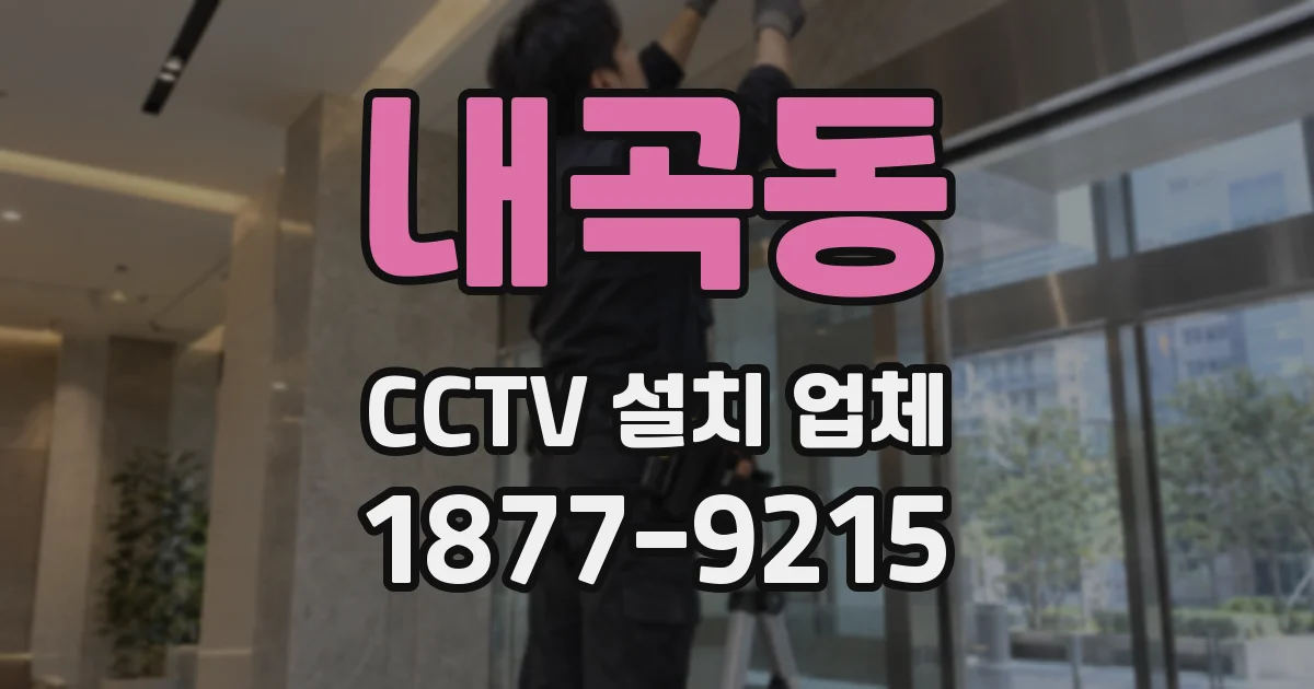 내곡동 CCTV 설치 업체