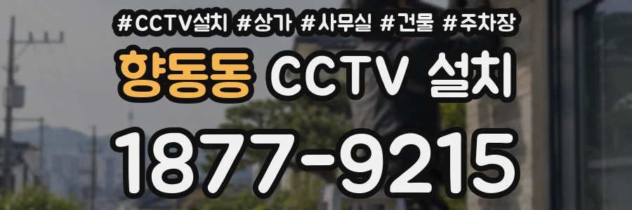 향동동 CCTV 설치