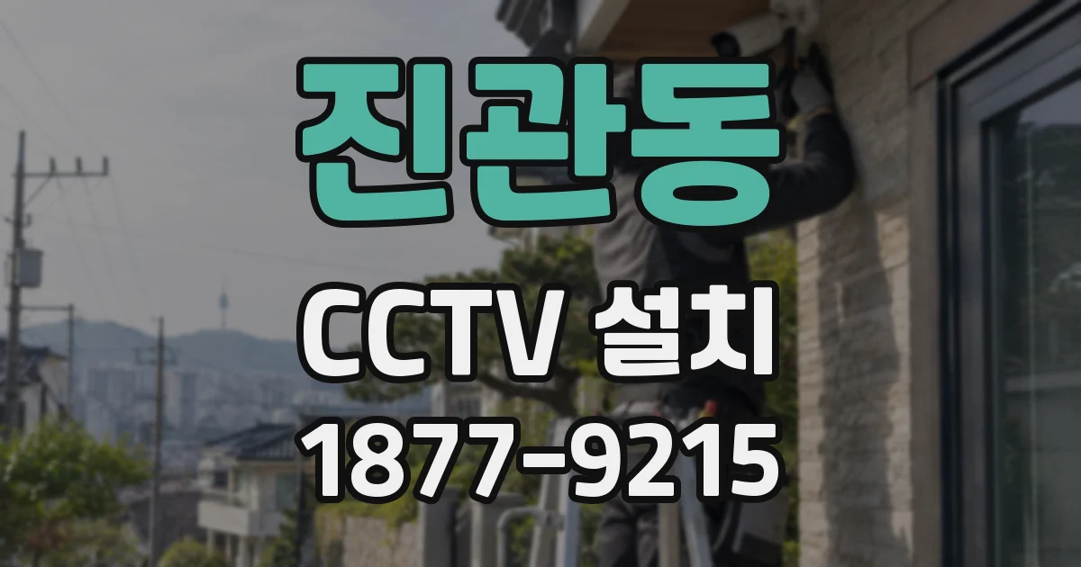 진관동 CCTV 설치