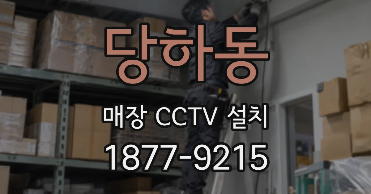 당하동 매장 CCTV 설치