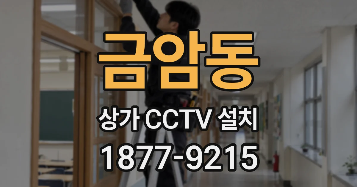 금암동 상가 CCTV 설치