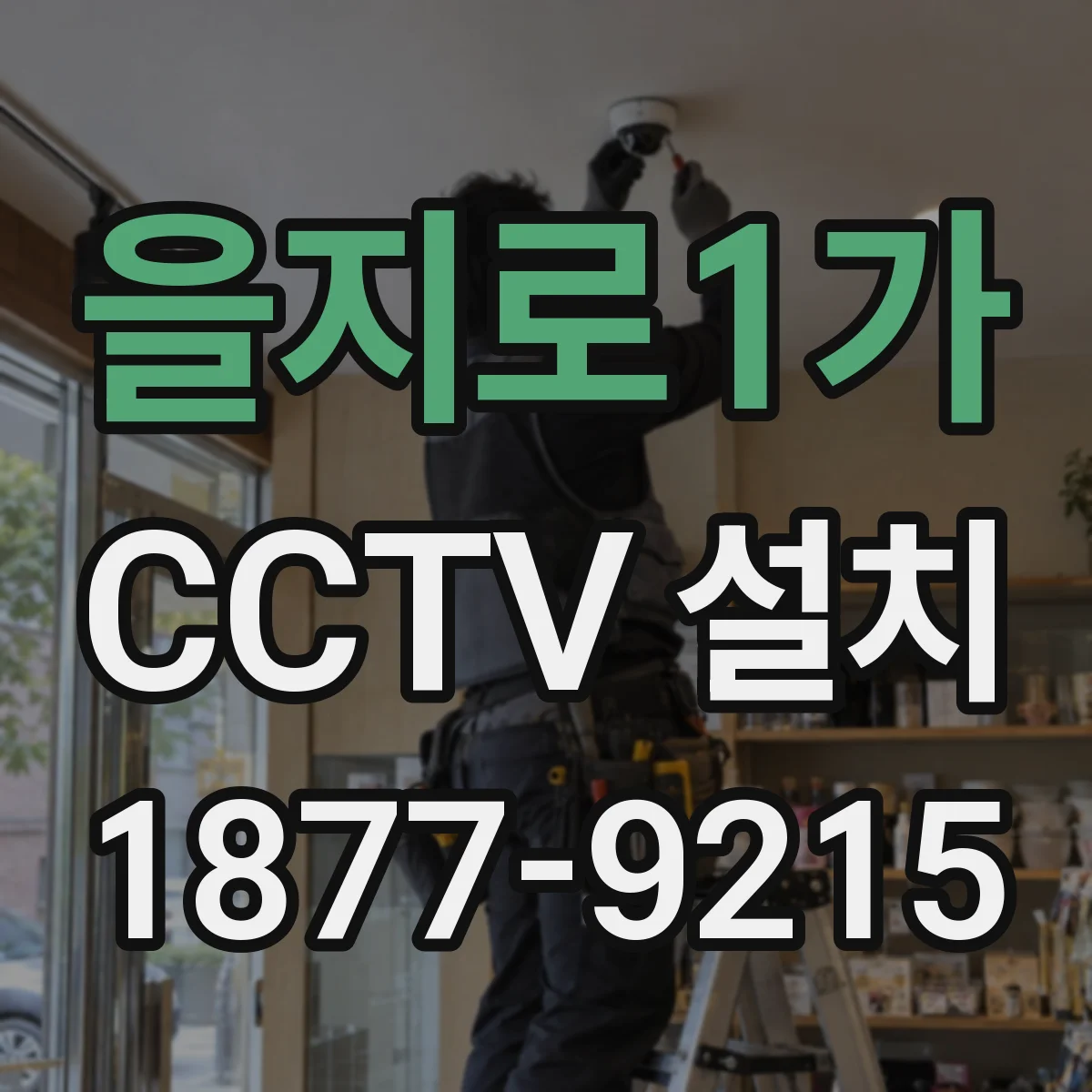 을지로1가 CCTV 설치