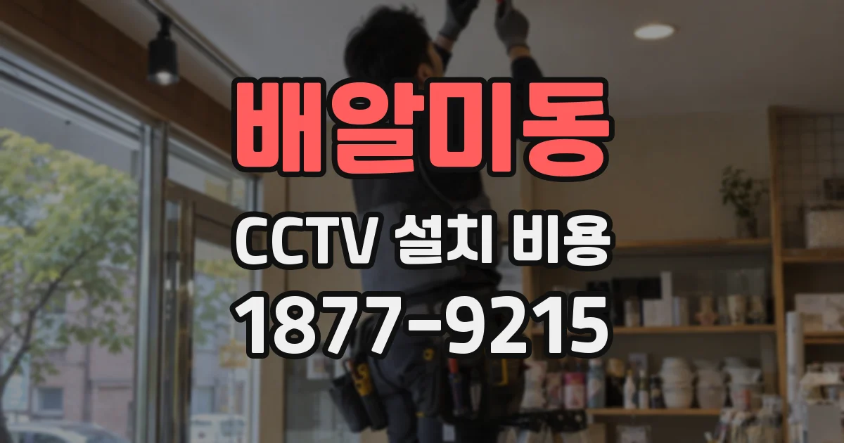 배알미동 CCTV 설치 비용