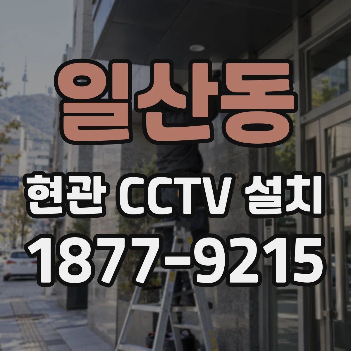 일산동 현관 CCTV 설치