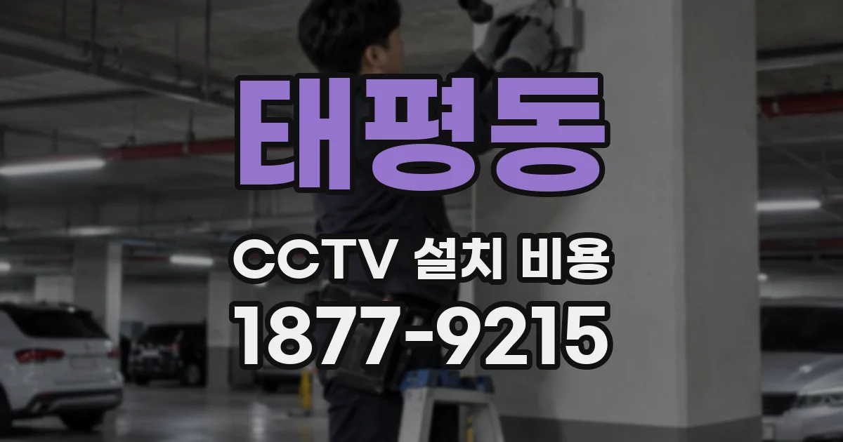 태평동 CCTV 설치 비용