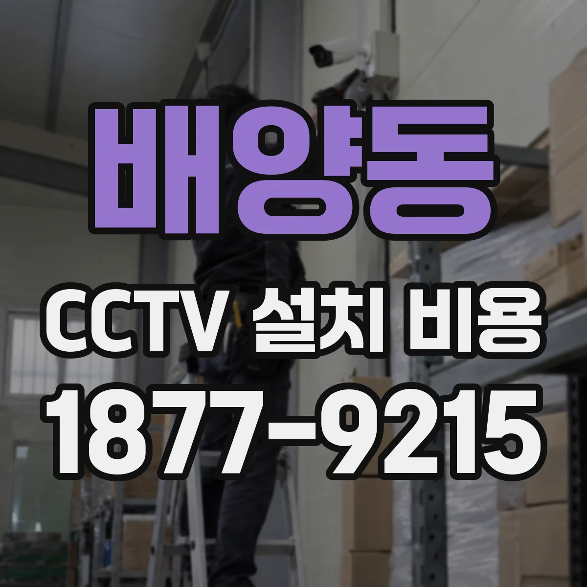 배양동 CCTV 설치 비용