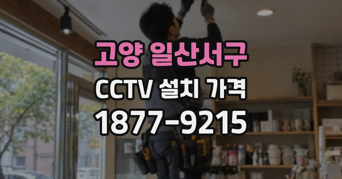고양 일산서구 CCTV 설치 가격