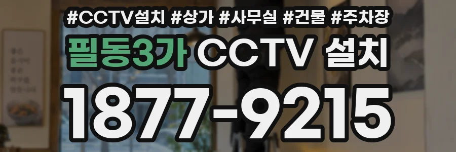 필동3가 CCTV 설치