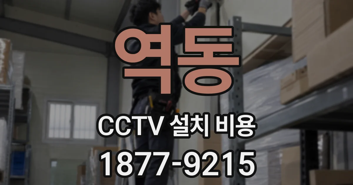 역동 CCTV 설치 비용