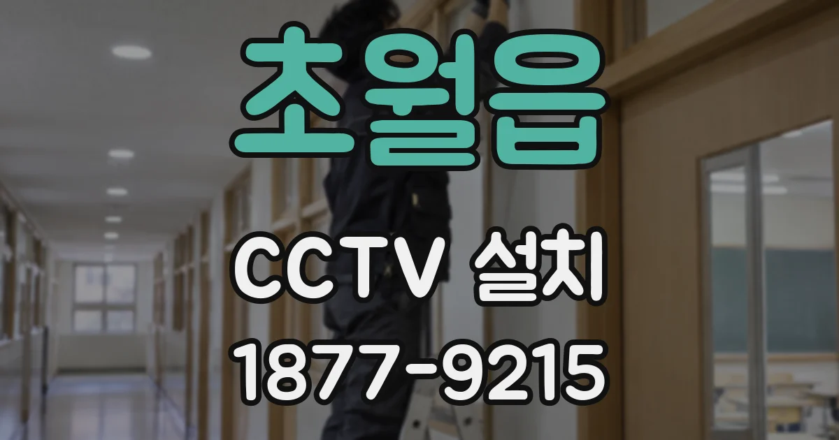 초월읍 CCTV 설치