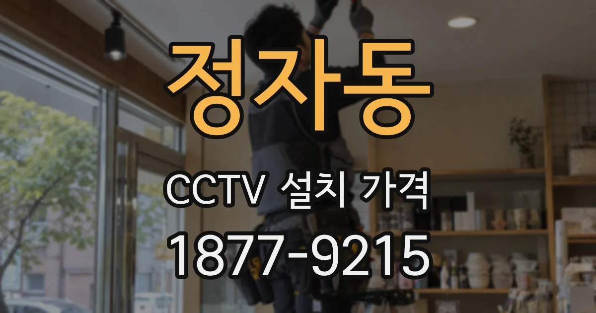 정자동 CCTV 설치 가격