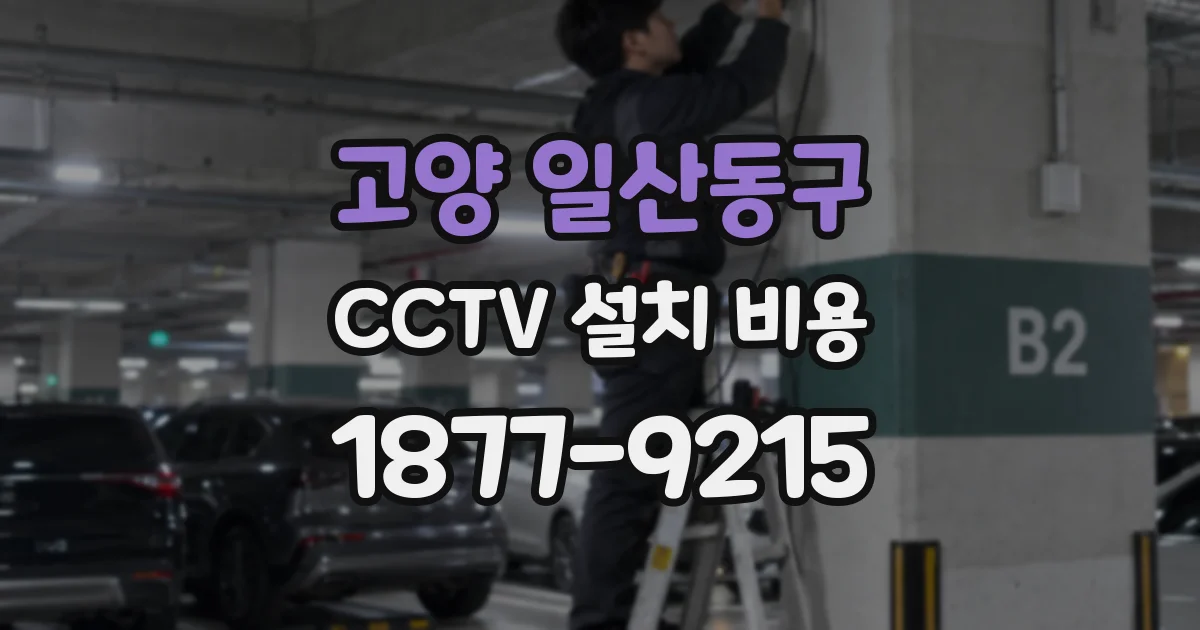 고양 일산동구 CCTV 설치 비용