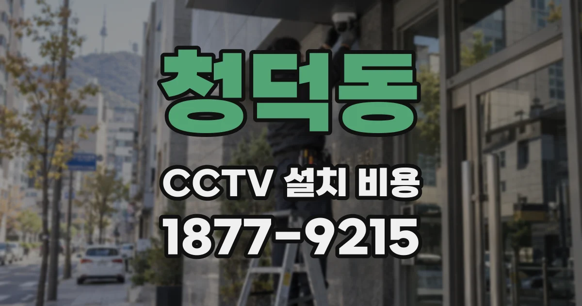청덕동 CCTV 설치 비용