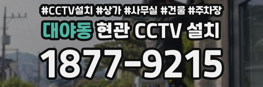 대야동 현관 CCTV 설치