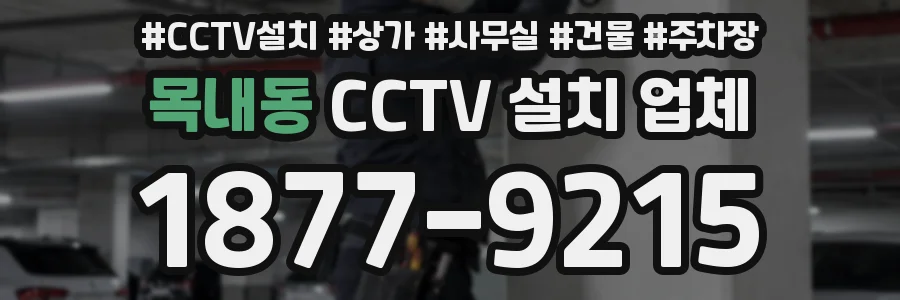 목내동 CCTV 설치 업체