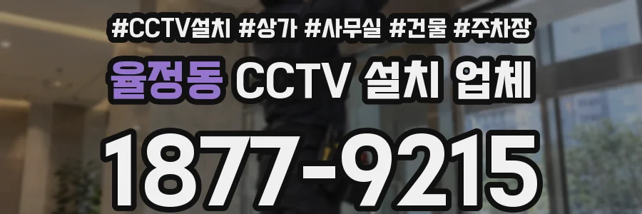 율정동 CCTV 설치 업체
