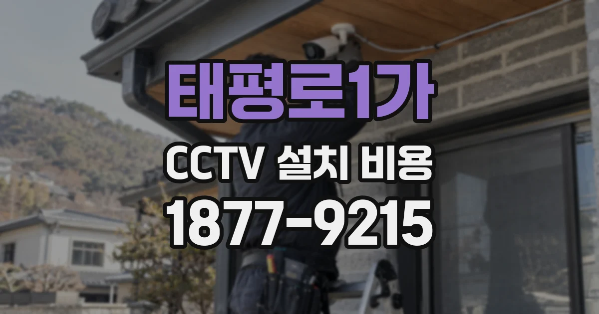 태평로1가 CCTV 설치 비용