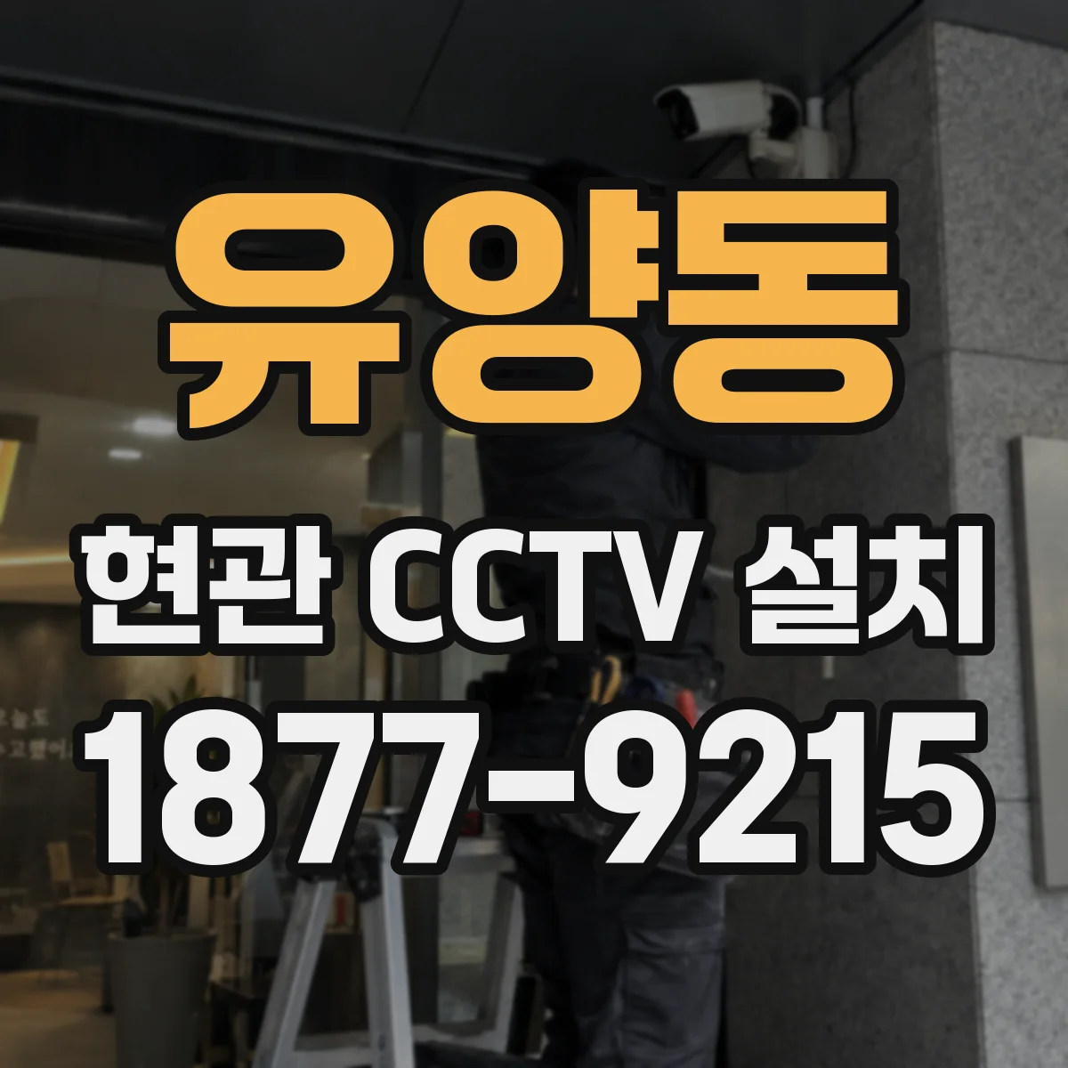 유양동 현관 CCTV 설치