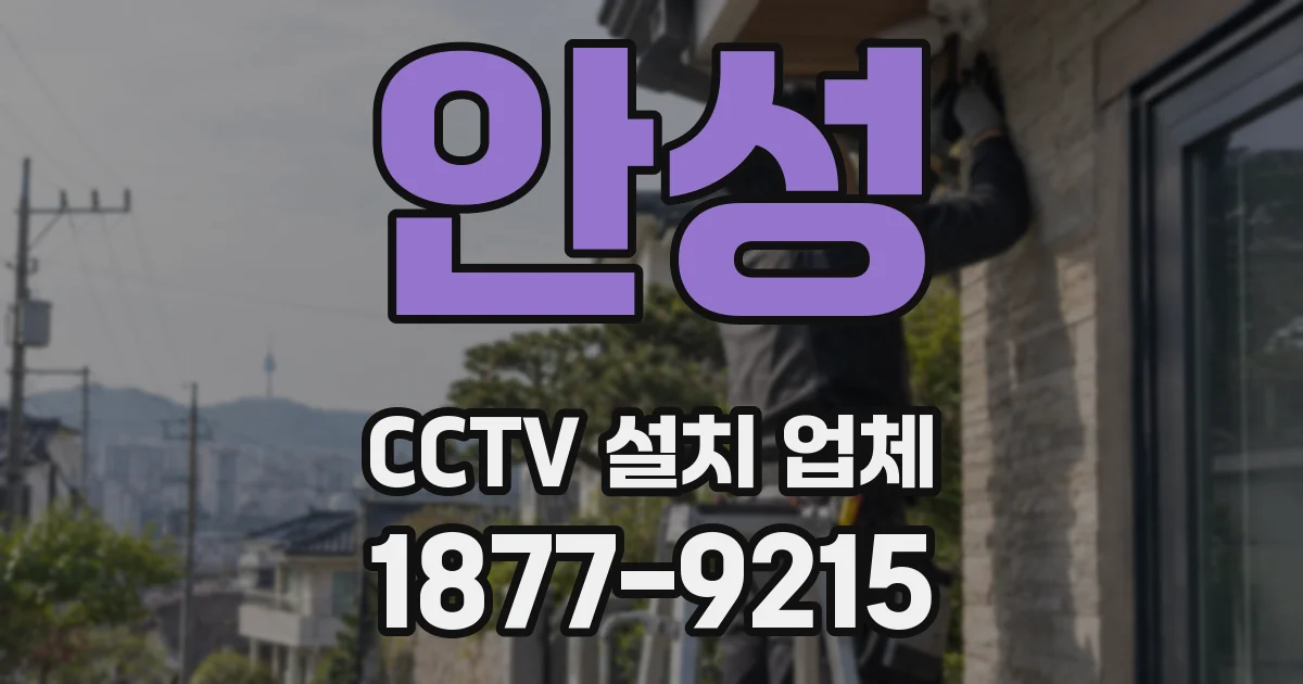 안성 CCTV 설치 업체