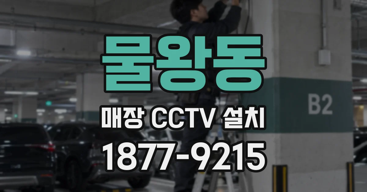 물왕동 매장 CCTV 설치