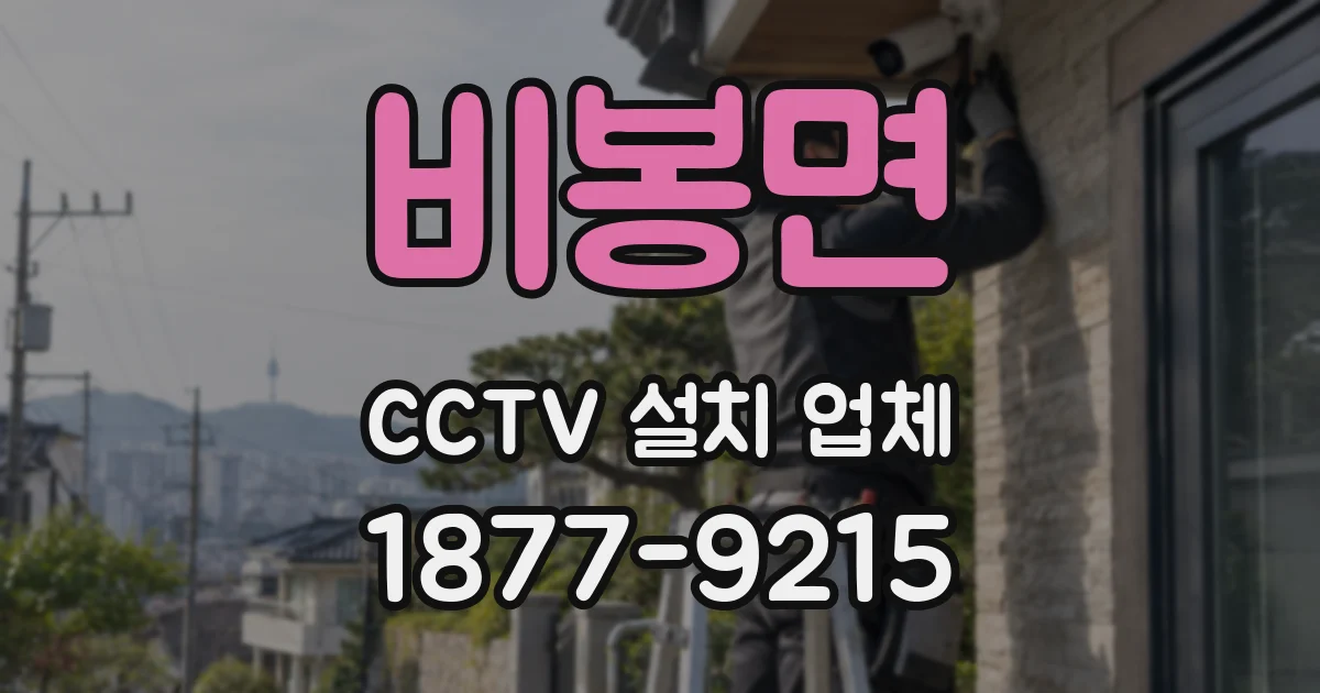 비봉면 CCTV 설치 업체
