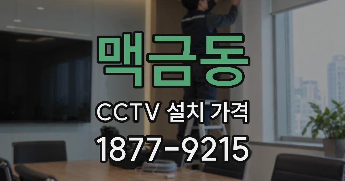 맥금동 CCTV 설치 가격