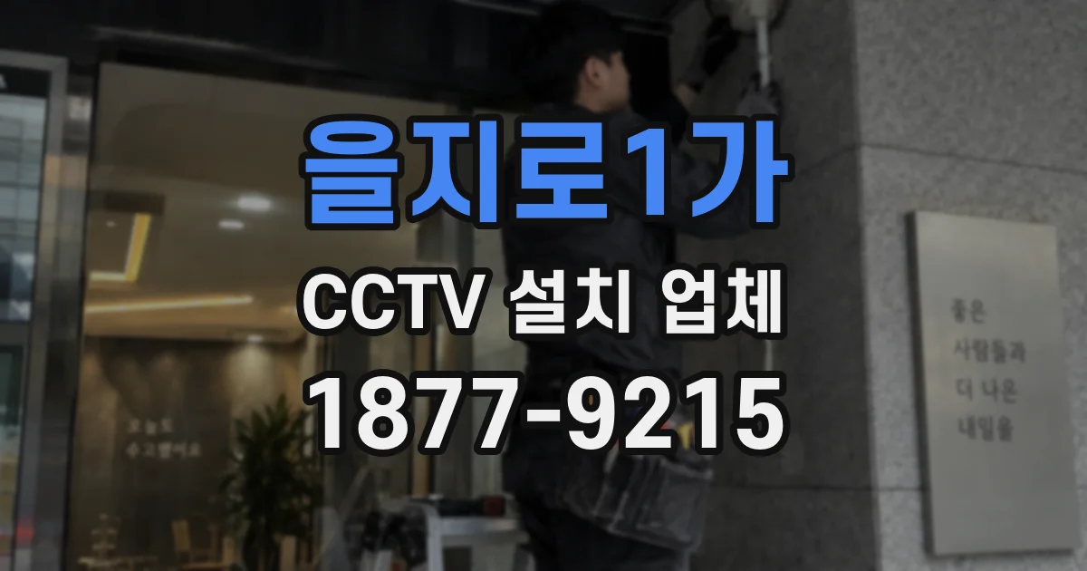 을지로1가 CCTV 설치 업체
