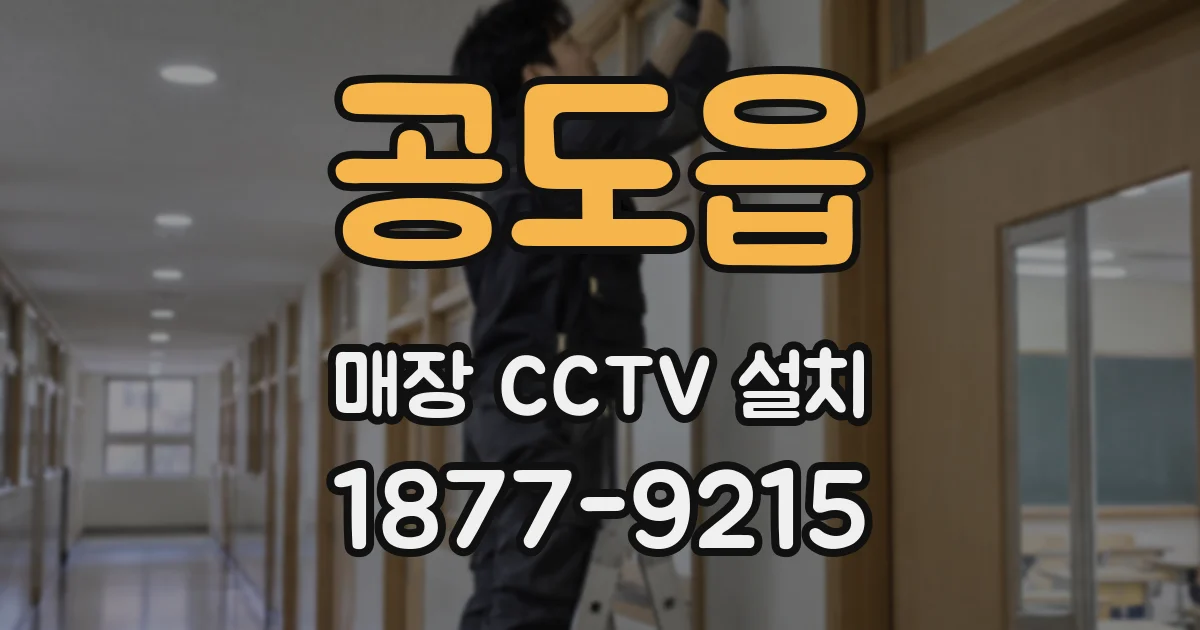 공도읍 매장 CCTV 설치
