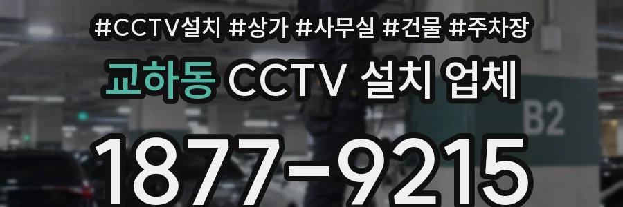 교하동 CCTV 설치 업체