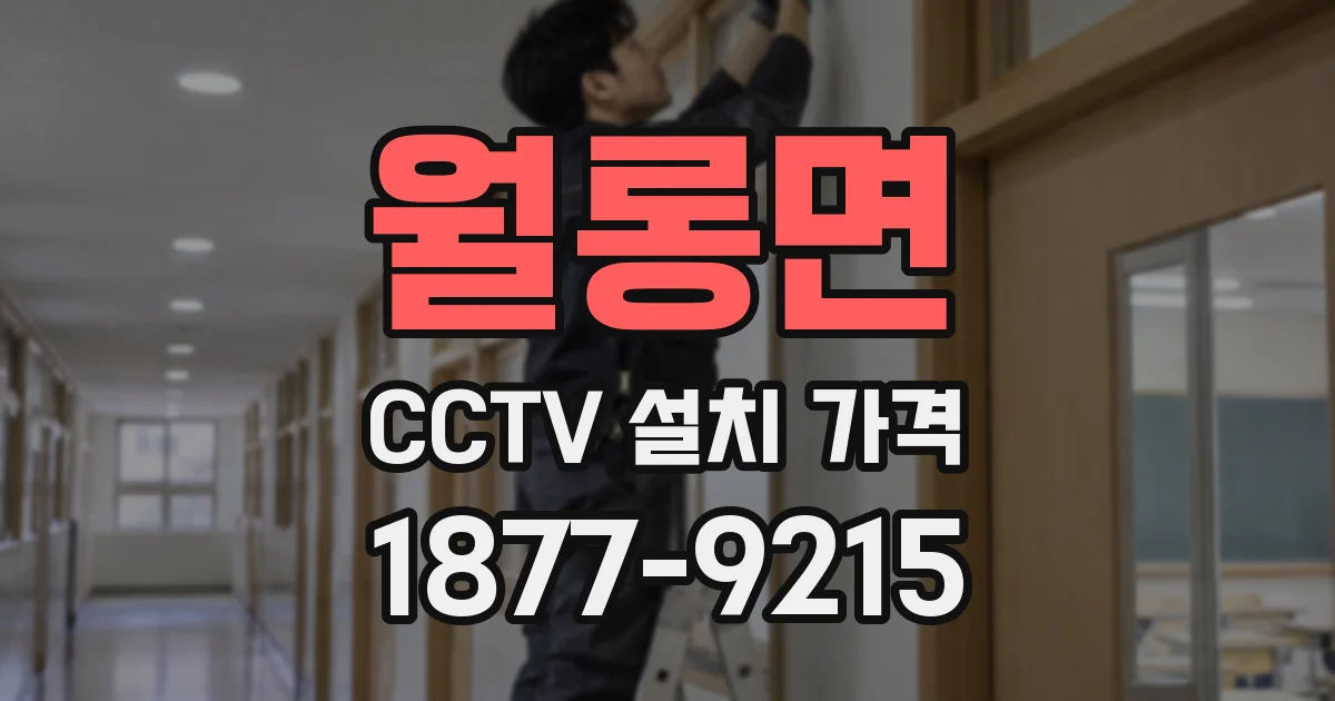 월롱면 CCTV 설치 가격