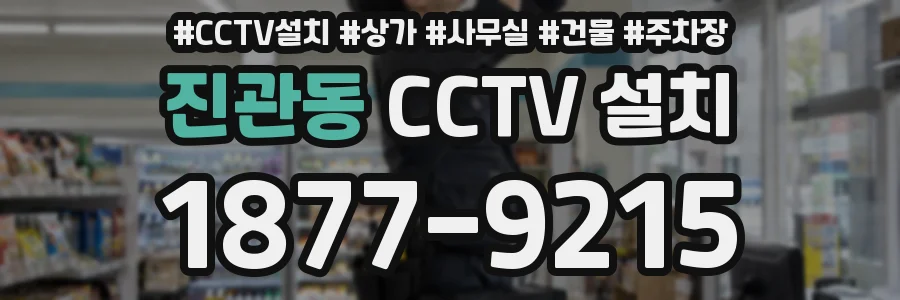 진관동 CCTV 설치