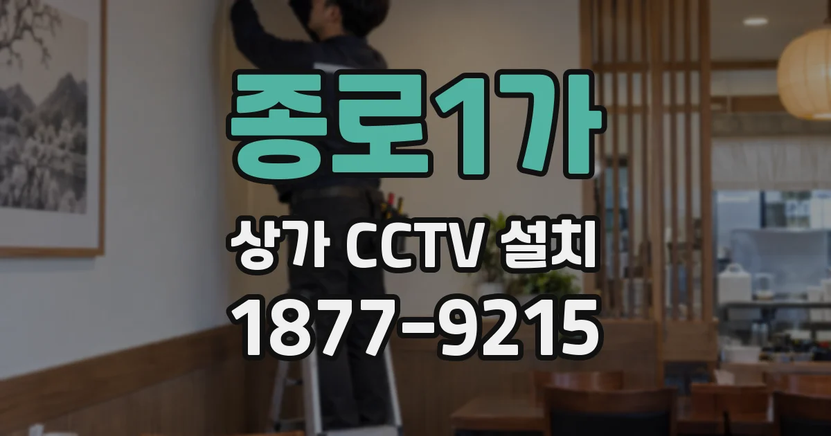 종로1가 상가 CCTV 설치