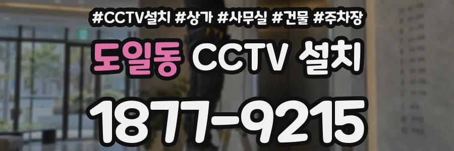 도일동 CCTV 설치