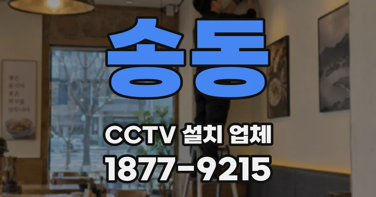 송동 CCTV 설치 업체