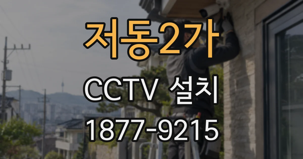 저동2가 CCTV 설치