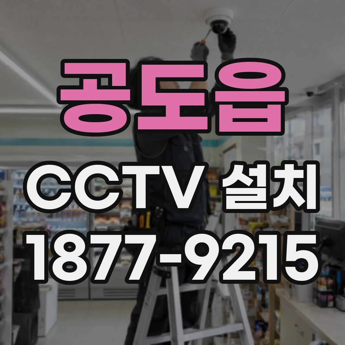 공도읍 CCTV 설치