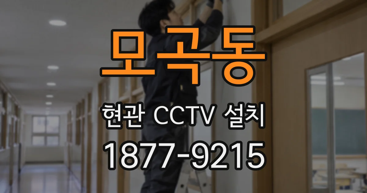 모곡동 현관 CCTV 설치
