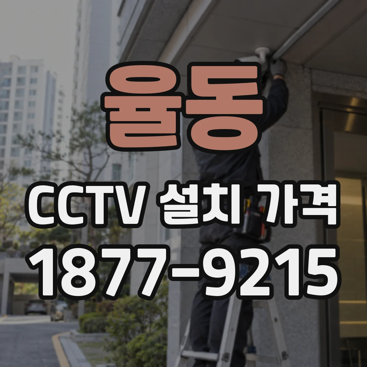 율동 CCTV 설치 가격