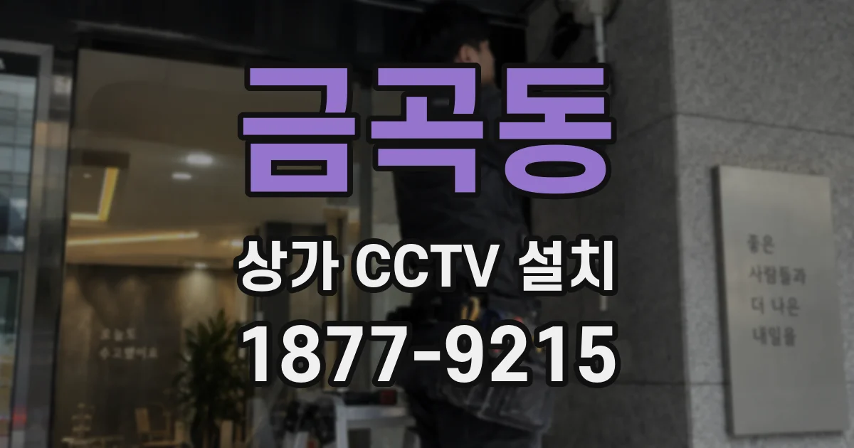 금곡동 상가 CCTV 설치
