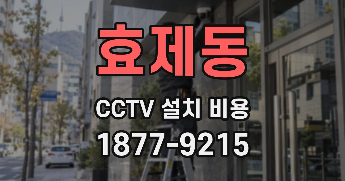 효제동 CCTV 설치 비용