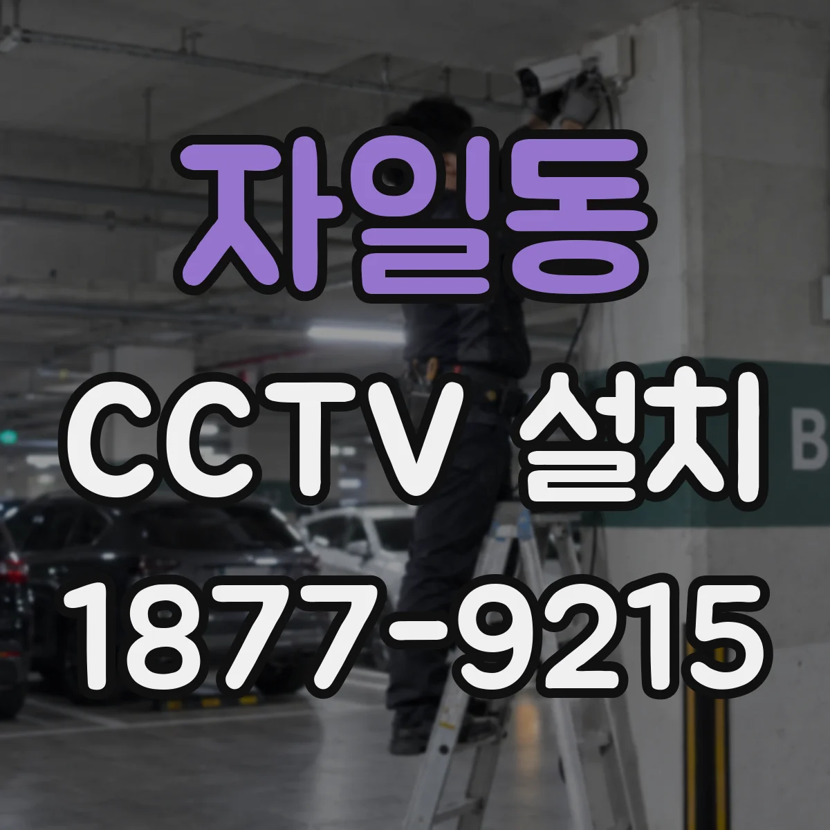 자일동 CCTV 설치