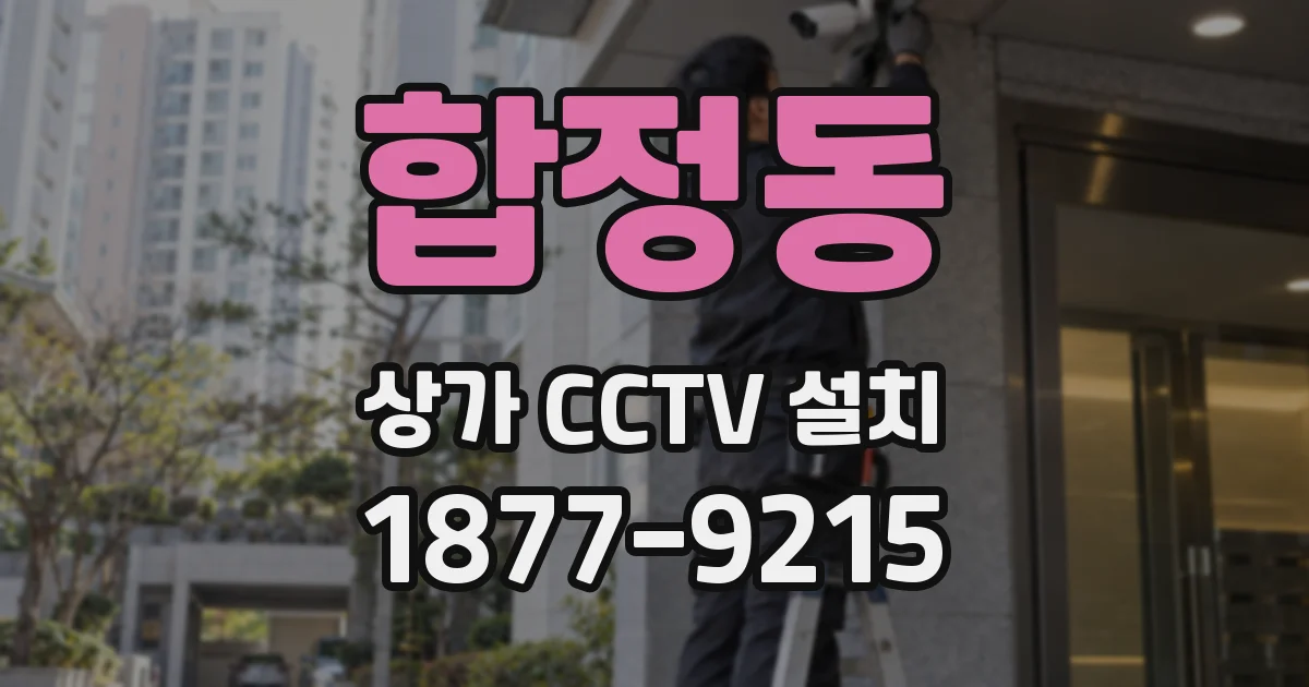 합정동 상가 CCTV 설치