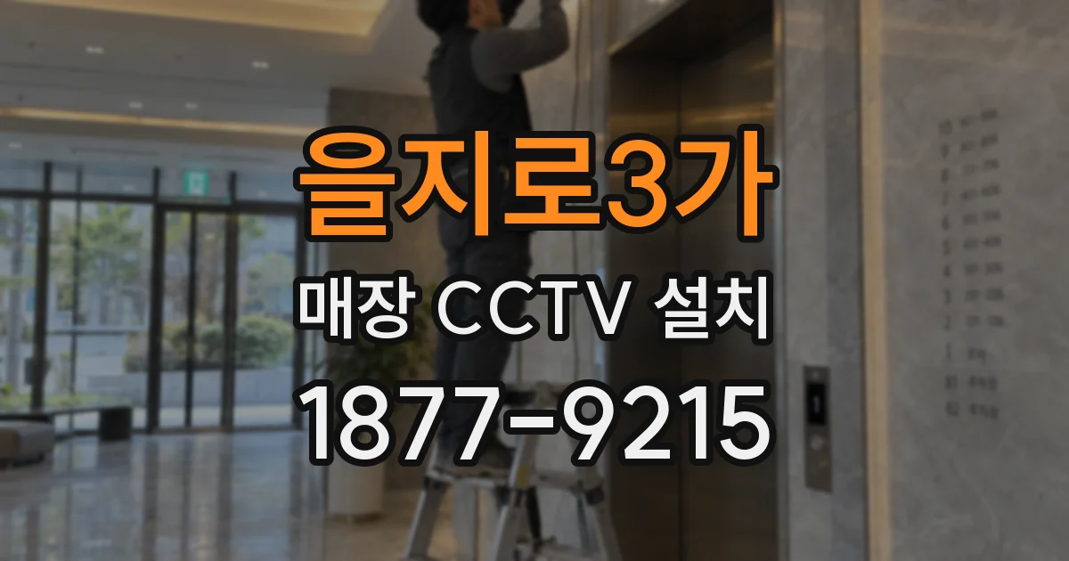 을지로3가 매장 CCTV 설치